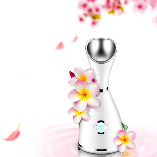 Facial  steamer body